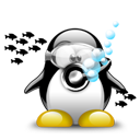Penguin pingouin pinguino 165